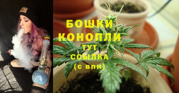 2c-b Верея