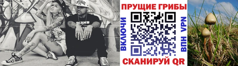 Купить где  Медногорск  Псилоцибиновые грибы Cubensis 